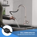 Pulldown Kitchen Faucet